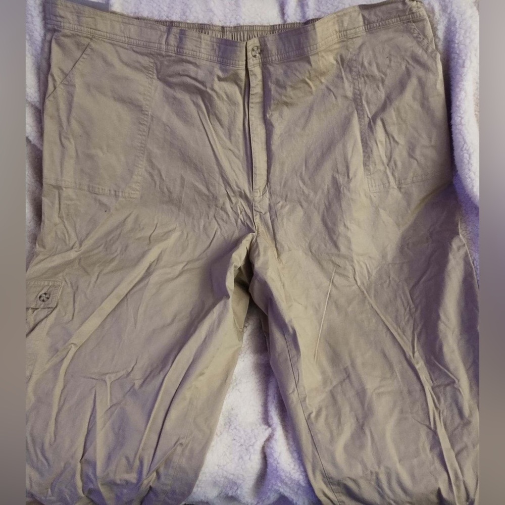 Dress pants